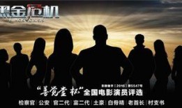 黑金危机 在线观看,揭秘能源危机背后的真相