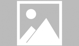 吃瓜网红与球星的区别,揭秘娱乐圈的“瓜田”与“球场”差异